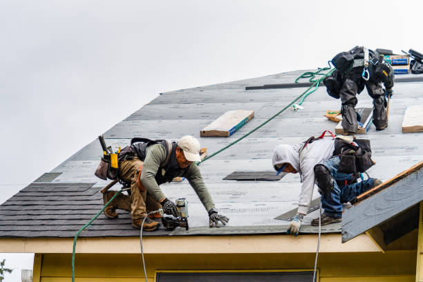 Professional Roof Replacement technician working in Mulberry, AR